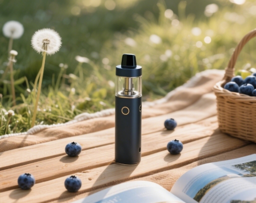 &Eta;&lambda;&epsilon;&kappa;&tau;&rho;&omicron;&nu;&iota;&kappa;ά &tau;&sigma;&iota;&gamma;ά&rho;&alpha;: &Mu;&iota;&alpha; &psi;&upsilon;&chi;&omicron;&lambda;&omicron;&gamma;&iota;&kappa;ή &alpha;&sigma;&phi;ά&lambda;&epsilon;&iota;&alpha;